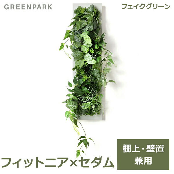 フェイクグリーン 観葉植物 人口観葉植物 造花 卓上 壁掛け 大型 フィットニア セダム グリーン ロング おしゃれ 植物 装飾 PRGR-1310 GREENPARK グリーンパーク 送料無料 人口植物 プレゼント ギフト シンプル グリーンマット 店舗 ディスプレイ 壁面 ス