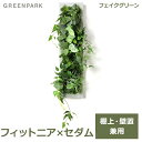 フェイクグリーン 観葉植物 人口観葉植物 造花 卓上 壁掛け 大型 フィットニア セダム グリーン ロング おしゃれ 植物 装飾 PRGR-1310 GREEN...