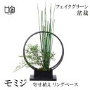 盆栽 モミジ 青モミジ トクサ アジアンタム 寄せ植え リングベース S フェイクグリーン 造花 CUPBON 鉢付き お祝い リアル 手作り おしゃれ PRG...