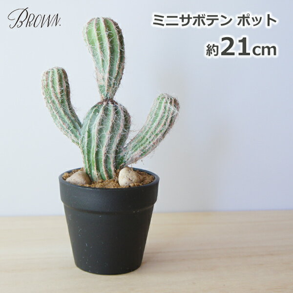 サボテン フェイク グリーン 造花 ミニ 柱サボテン ポット 21cm 鉢 観葉植物 おしゃれ かわいい トイレ トゲなし 子供 ペット 安心 ミニ 多肉植物 BROWN BB240 3号 インテリア 人工 植物 枯れない ギフト プレゼント ナチ