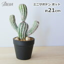 サボテン フェイク グリーン 造花 ミニ 柱サボテン ポット 21cm 鉢 観葉植物 おしゃれ かわいい トイレ トゲなし 子供 ペット 安心 ミニ 多肉植物 BROWN BB240 3号 インテリア 人工 植物 枯れ…