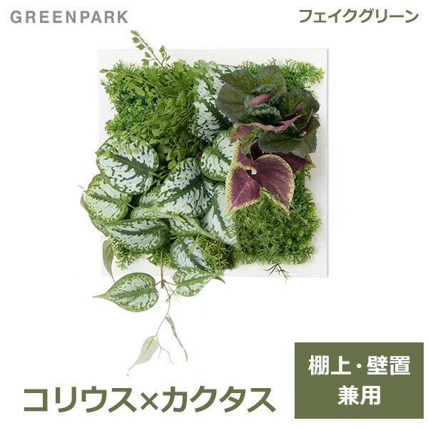 フェイクグリーン 観葉植物 人口観葉植物 造花 卓上 壁掛け フコリウス カクタス フレーム付 スタンド グリーン おしゃれ インテリア GREENPARK PRGR-1400F 送料無料 eco お祝い グリーンパーク 室内 ギフト ディスプレイ 春 新生活 引越祝い 開店祝い