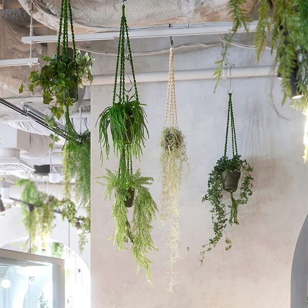 �ե��������꡼�� ���տ�ʪ �͹����տ�ʪ ¤�� �ɳݤ� �ϥ󥭥� �����ӡ� �ݥå� �ޥ���� �ϥ󥮥� ���꡼�� ������� ����ƥꥢ PRGR-1485 GREENPARK eco ����̵�� ���ե��� ����ץ� ���ˤ� ���꡼��ѡ��� ���� ���ե� ��