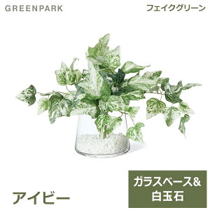 ե꡼  տʪ Ĥʪ ӡ  饹١ ꡼  ¤ ʪ ƥꥢ   eco PRGR-1450 GREENPARK ӥ ͹ʪ ե å ץ ̵