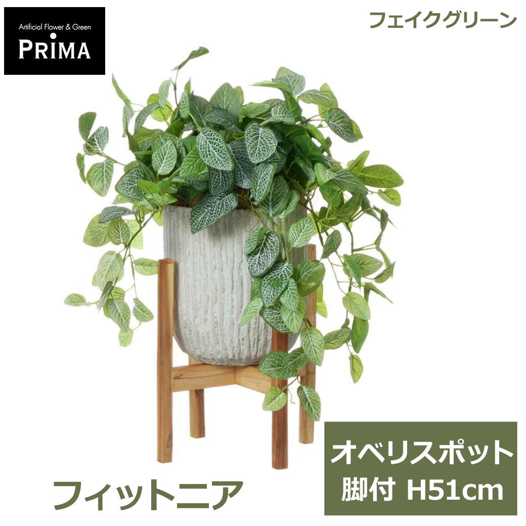 Rakuten - エントリーでポイント5倍 フェイクグリーン 観葉植物 人工観葉植物 造花 フィットニア オベリスポット 脚付 H51cm つる性 植物 グリーン おしゃれ PRGR-1474W グリーンパーク GREENPARK 送料無料 フェイク 人工植物 プレゼント ギフト シンプル リビング 洗面 モダン 店舗
