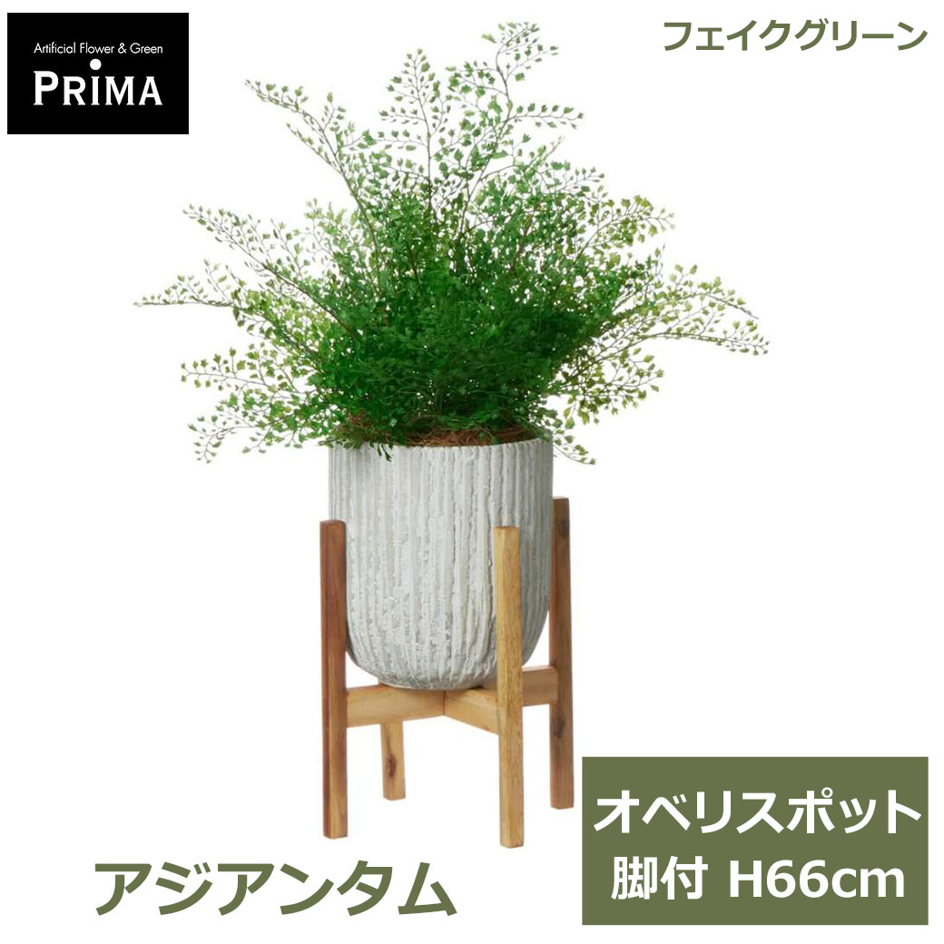 乐天商城 - エントリーでポイント5倍 フェイクグリーン 観葉植物 人工観葉植物 造花 アジアンタム オベリスポット 脚付 H66cm 植物 グリーン おしゃれ 金運 商売運 アップ PRGR-1475W グリーンパーク GREENPARK 送料無料 花言葉 繊細 天真爛漫 無垢 上機嫌 無邪気 フェイク 人工植物