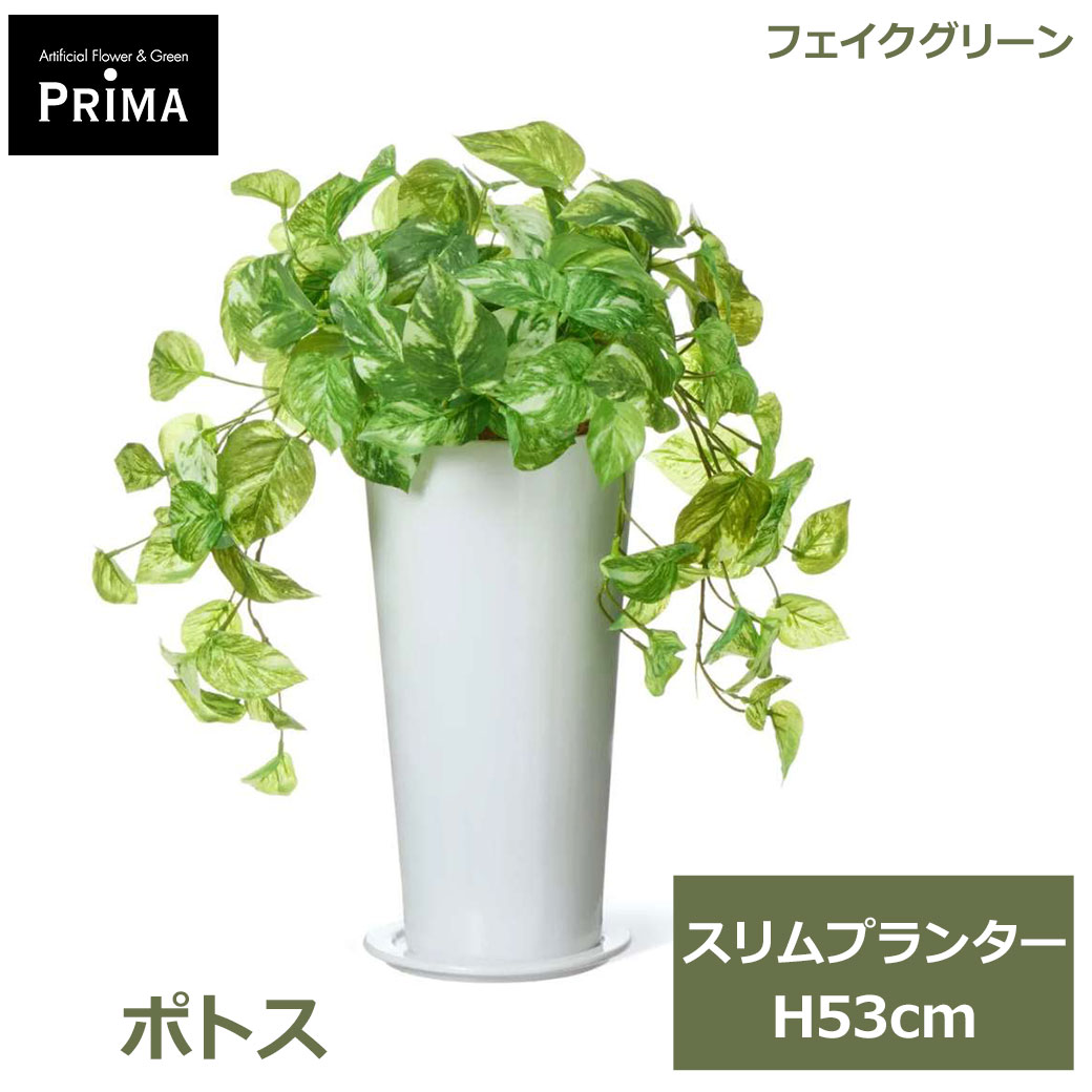 乐天商城 - エントリーでポイント5倍 フェイクグリーン 観葉植物 人工観葉植物 造花 ポトス スリムプランター H53cm 植物 グリーン おしゃれ 人気 インテリア PRGR-1462 グリーンパーク GREENPARK 送料無料 フェイク 人工植物 花言葉 永遠の富 華やかな明るさ プレゼント ギフト シンプ