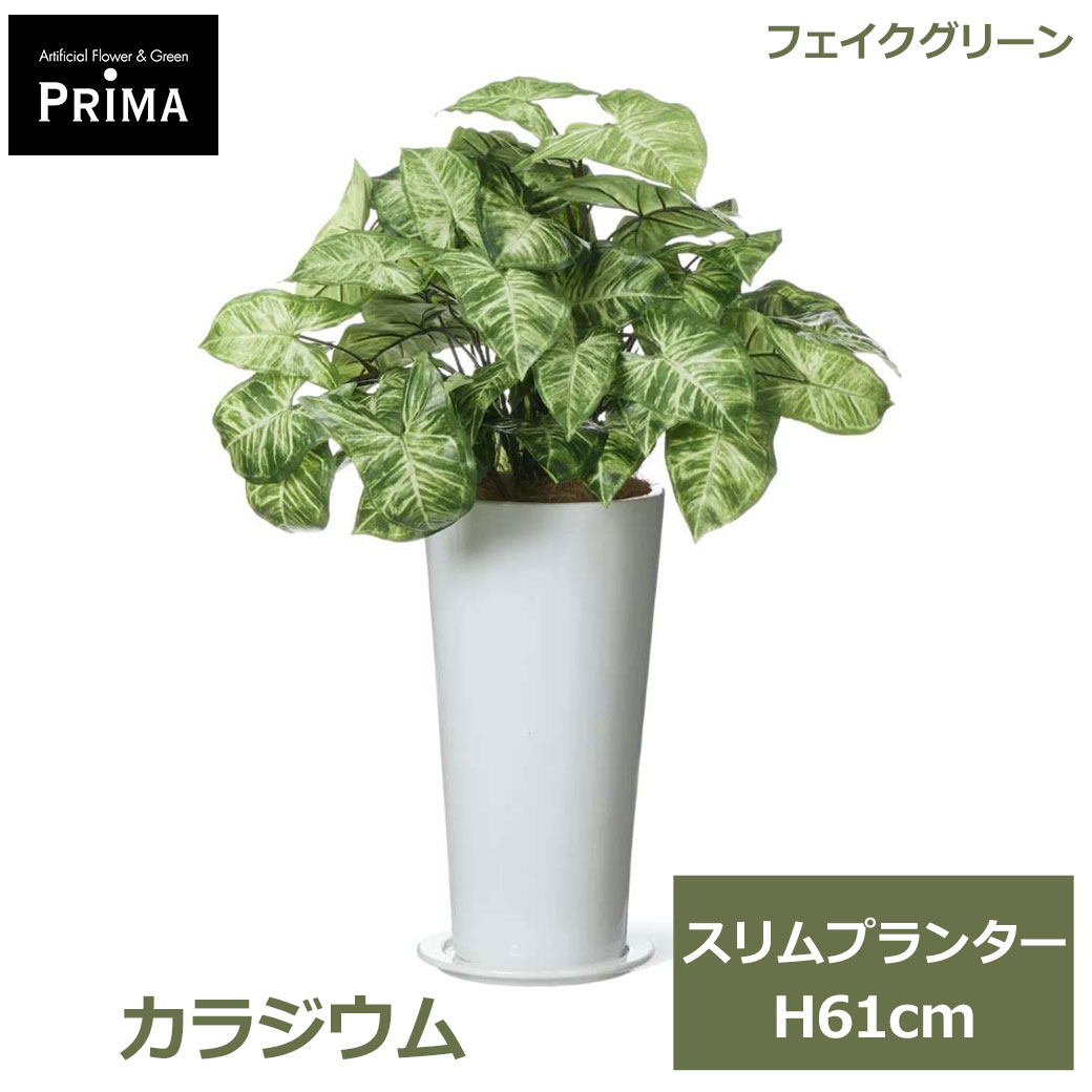 Rakuten - エントリーでポイント5倍 フェイクグリーン 観葉植物 人工観葉植物 造花 カラジウム スリムプランター H61cm 植物 グリーン おしゃれ インテリア PRGR-1464 グリーンパーク GREENPARK 送料無料 フェイク 人工植物 花言葉 喜び 歓喜 プレゼント ギフト シンプル 上品 リビング