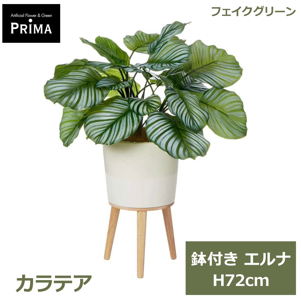 乐天商城 - エントリーでポイント5倍 フェイクグリーン 観葉植物 人工観葉植物 造花 カラテア エルナ H72cm 植物 グリーン おしゃれ インテリア 人気 人工植物 PRGR-1635 グリーンパーク GREENPARK 送料無料 フェイク プレゼント ギフト シンプル 北欧 花言葉