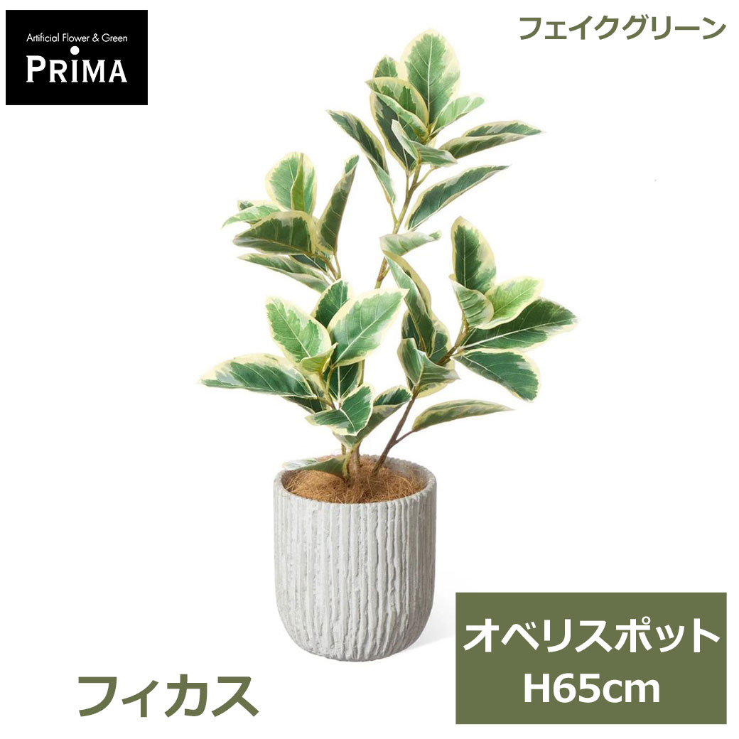 乐天商城 - エントリーでポイント7倍 フェイクグリーン 観葉植物 人工観葉植物 造花 フィカス オベリスポット H65cm 植物 グリーン おしゃれ 人気 人工植物 北欧 PRGR-1748 グリーンパーク GREENPARK 送料無料 インテリア フェイク モダン プレゼント ギフト シ