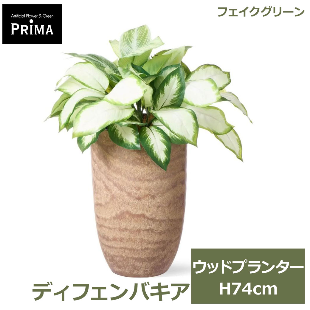 Rakuten - エントリーでポイント5倍&2%OFFクーポン フェイクグリーン 観葉植物 人工観葉植物 造花 ディフェンバキア ウッドプランター H74cm 植物 グリーン フェイク おしゃれ PRGR-1691 グリーンパーク GREENPARK 送料無料 人気 インテリア プレゼント ギフト シンプル エコ
