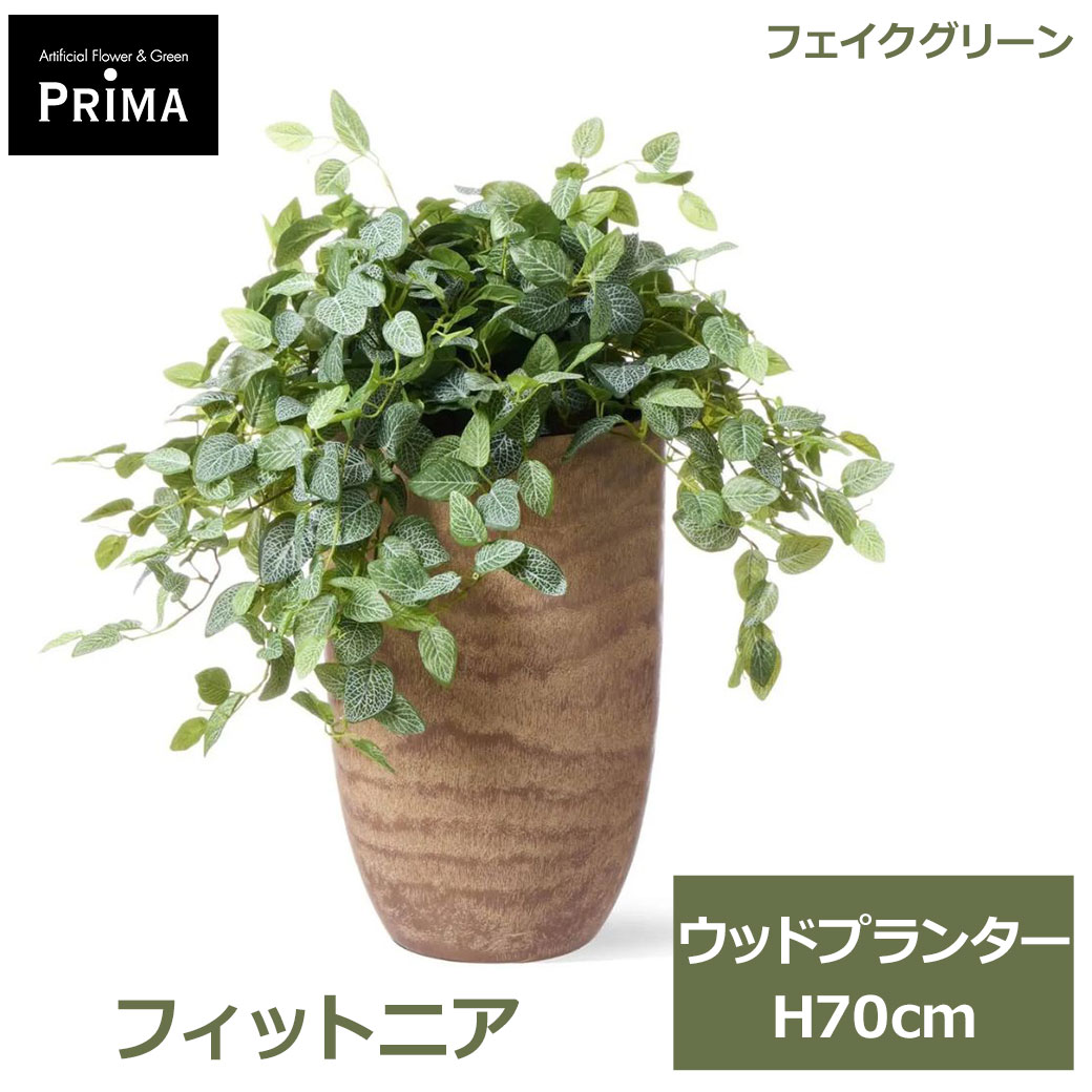 乐天商城 - エントリーでポイント5倍 フェイクグリーン 観葉植物 人工観葉植物 造花 フィットニア ウッドプランター H70cm 植物 グリーン フェイク おしゃれ PRGR-1693 グリーンパーク GREENPARK 送料無料 人気 インテリア プレゼント ギフト シンプル エコ 上