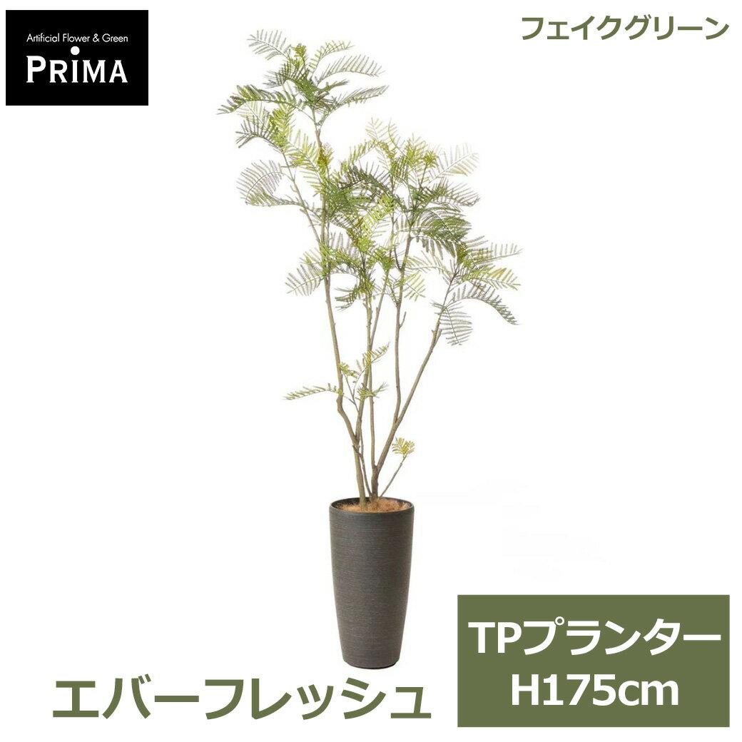 Rakuten - エントリーでポイント5倍&2%OFFクーポン フェイクグリーン 観葉植物 人工観葉植物 造花 エバーフレッシュ TP プランター H175cm 植物 大型 鉢付き 和モダン 北欧 グリーン フェイク PRGR-1765 GREENPARK 送料無料 インテリア 人気 グリーンパーク プレゼント ギフト シンプル