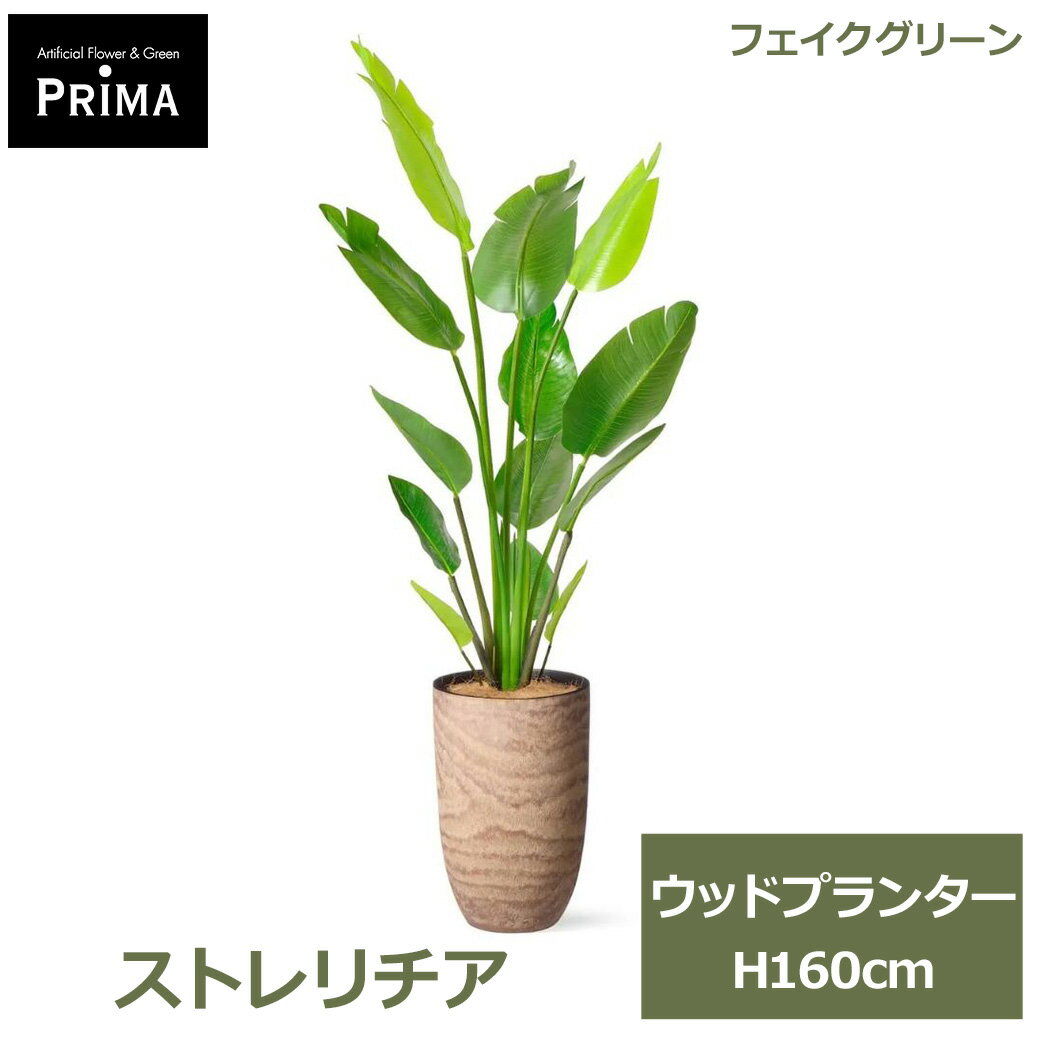 Rakuten - エントリーでポイント5倍 フェイクグリーン 観葉植物 人工観葉植物 造花 ストレリチア ニコライ オーガスタ ウッド プランター H160cm 植物 大型 鉢付き フェイク PRGR-1695 GREENPARK 送料無料 グリーン モダン 北欧 インテリア 人気 グリーンパーク プレゼント ギフト シ