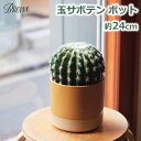 フェイク グリーン 人工 観葉植物 造花 おしゃれ 玉 サボテン ポット 24cm 鉢 かわいい シンプル インテリア 多肉植物 トゲなし 子供 安心 BROW...