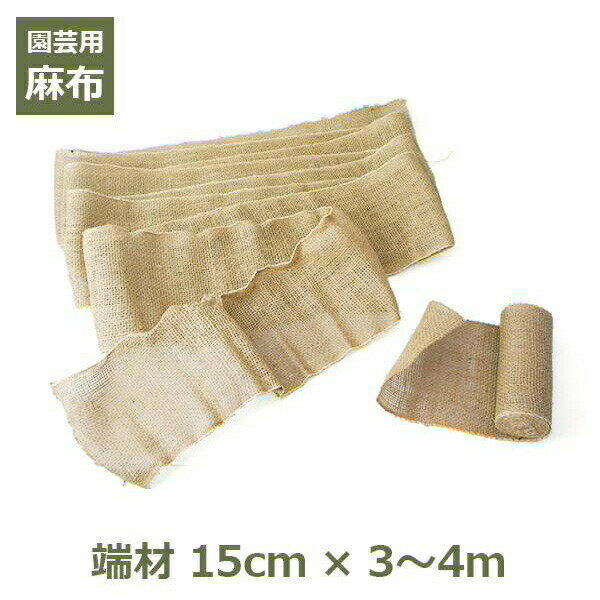 麻布 端材 15cm×3～4m アウトレット 訳あり ガーデニング 資材 園芸 用品 ナチュラル 無地 シート テープ あさ ぬの 切れ端 根巻き 幹巻き 雪囲い 養生 ラッピング