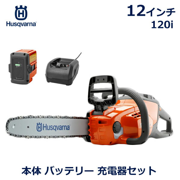 ハスクバーナ Husqvarna チェーンソー 正規品 充電器 バッテリー セット 軽量 静音 慣性式 12インチ 剪定 庭木 手入れ 家庭用 120i BLi20 ロングハンドルソー 100 ホームシリーズ 業務用 おすすめ ブランド 使いやすい 送