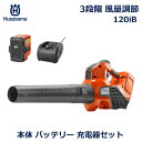 ハスクバーナ Husqvarna ハンディ ブロワー 正規品 3段階 充電器 バッテリー セット 軽量 静音 剪定 庭木 草刈り 簡単 用品 手入れ 家庭用 1...
