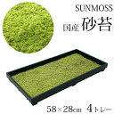 【最大100%ポイントバック!※条件あり】苔 庭 国産 58×28cm 4トレー 砂苔 スナゴケ 日本庭園 資材 sunmoss サンモス グランドカバー 常緑 植物 半日陰 日向 耐熱 耐寒 和風 業務用 旅館 ホテル 送料無料 仏閣 庭造り ガーデニング 和モダン