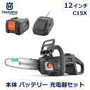ハスクバーナ チェーンソー 12インチ C15X チェンソー 充電器 バッテリー セット Aspire シリーズ 小型 家庭用 樹木 剪定 木 枝 共有 軽量 Husqvarna 送料無料 充電式 静音 静か 庭木 手入れ 用品 道具 簡単 正規品 DIY