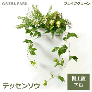 ե꡼ ߥ տʪ ƥå󥽥 Ĥ ʪ ͵ 󥸥 ¤ ê ꡼ ץ쥼 ե  İ PRGR-1388 GREENPARK  ƥꥢ μ ӥ ꡼ѡ ̵