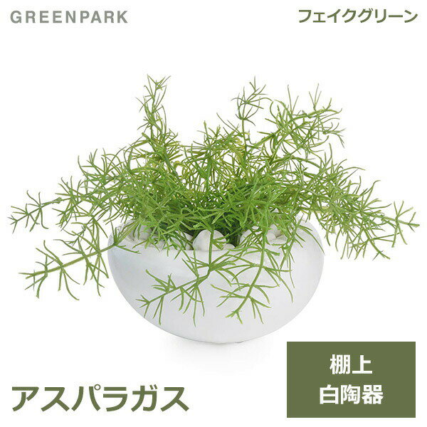 フェイクグリーン ミニ 観葉植物 造花 アスパラガス 白 陶器 Sサイズ 白玉石 エコストーン おしゃれ か..