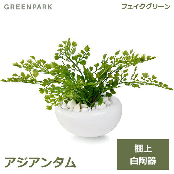 フェイクグリーン ミニ 観葉植物 造花 アジアンタム 白 陶器 Sサイズ 白玉石 エコストーン おしゃれ かわいい 可愛い 卓上 リビング GREENPARK PRGR-1005-SE オフィス 洋室 和室 寝室 グリーンパーク 人口植物 プレ 送料