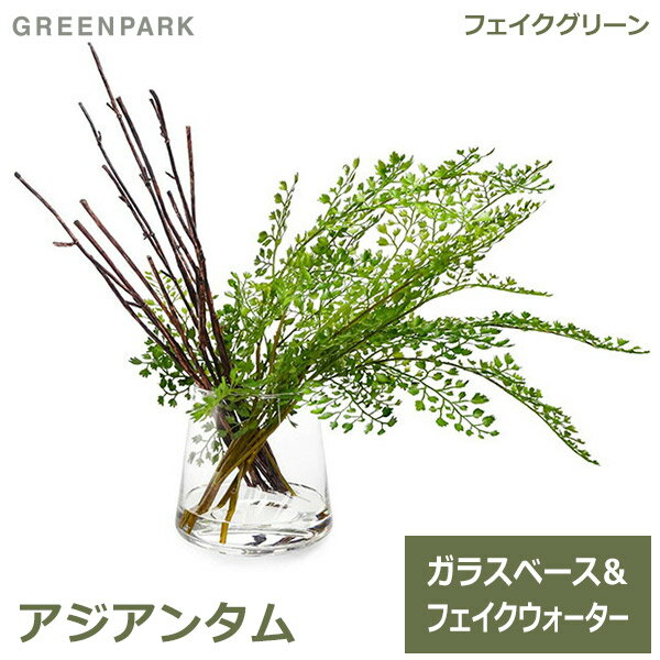 アジアンタム ウォーター トラペゾイド 人工 観葉植物 フェイク グリーン おしゃれ GREENPARK グリーンパーク 造花 PRGR-1029 ガラスベース テーブルグリーン インテリア 枝 人気 シンプル ディスプレイ プレゼ 送料無料