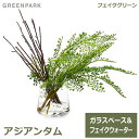 アジアンタム アジアンタム ウォーター トラペゾイド 人工 観葉植物 フェイク グリーン おしゃれ GREENPARK グリーンパーク 造花 PRGR-1029 ガラスベース テーブルグリーン インテリア 枝 人気 シンプル ディスプレイ プレゼ 送料無料