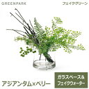 最大1000円オフクーポン【先着利用】フェイクグリーン 観葉植物 人工観葉植物 造花 卓上 アジアンタム ベリー ウォータートラぺゾイド おしゃれ グリーンパーク PRGR-1175 植物 グリーン GREENPARK 送料無料 造花 インテリア 枝 人気 シンプル ディスプレイ プレゼント ギフ