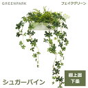 フェイクグリーン 観葉植物 人口観葉植物 造花 卓上 シュガーバイン グリーン おしゃれ テーブルグリーン グリーンパーク PRGR-1180 人気 アレンジ ...