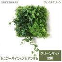 ジアン フェイクグリーン 観葉植物 人口観葉植物 造花 壁掛け シュガーバイン アジアンタム グリーンマット ウォールグリーン グリーンパーク PRGR-1311 GREENPARK 送料無料 グリーン 植物 組み合わせ プレゼント ギフト シンプル 画鋲 貼り付け 店舗 ディスプレイ