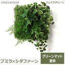 フェイクグリーン 観葉植物 人口観葉植物 造花 壁掛け プミラ シダファーン グリーンマットウォールグリーン おしゃれ 植物 PRGR-1312 GREENPARK グリーンパーク 送料無料 組み合わせ プレゼント ギフト シンプル 画鋲 貼り付け 店舗 ディスプレイ 装飾 壁面