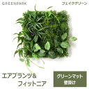 フェイクグリーン 観葉植物 人口観葉植物 造花 壁掛け エアプランツ フィットニア グリーンマット ウォールグリーン 植物 PRGR-1315 GREENPARK グリーンパーク 送料無料 グリーン 組み合わせ プレゼント ギフト シンプル 画鋲 貼り付け 店舗 ディスプレイ 装