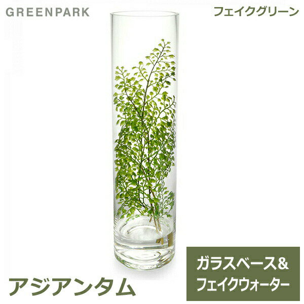 ジアン フェイクグリーン アジアンタム ウォーターシリンダー 卓上 造花 観葉植物 テーブルグリーン GREENPARK グリーンパーク PRGR-1139 人気 植物 アレンジメント 葉 ディスプレイ プレゼント ギフト キッチン ナチ 送料無料