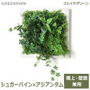 フェイクグリーン 観葉植物 人口観葉植物 造花 卓上 壁掛け シュガーバイン アジアンタム グリーンマット おしゃれ 植物 PRGR-1311F GREENPA...