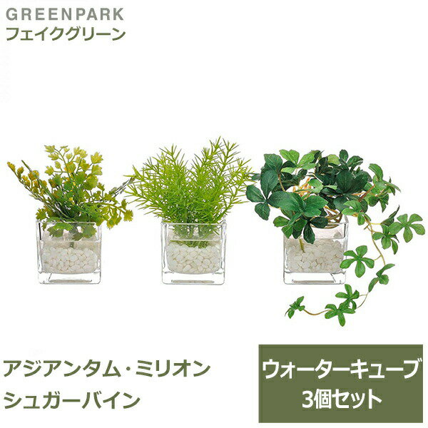 フェイクグリーン ミニ 観葉植物 造花 アジアンタム ミリオン シュガーバイン ウォーターキューブ 3個セット 台所 キッチン 洗面所 トイレ GREENPARK PRGR-1199 卓上 机 グリーンパーク 植物 人工観葉植物 人口 送料無料