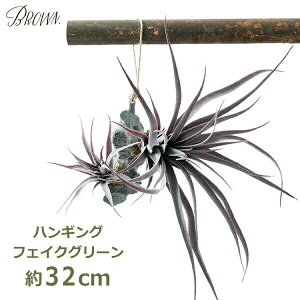 最大700円OFFクーポン【先着利用】フェイクグリーン 観葉植物 人工観葉植物 造花 壁掛け エアプランツ チランジア 着生パープル ハンギング おしゃれ リアル グリーン 吊り下げ インテリア Brown 送料無料 グリーン シンプル 植物 オブジェ 可愛い 壁 リビング きれい 簡