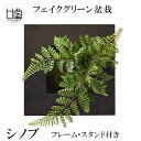 盆栽 シノブ フェイクグリーン 壁掛け 人工 観葉植物 造花 スタンド付 ウォールデコ CUPBON PRGR-0908 和室 シダ植物 モダン 北欧 インテリ...