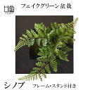 盆栽 シノブ フェイクグリーン 壁掛け 人工 観葉植物 造花 スタンド付 ウォールデコ CUPBON PRGR-0908 和室 シダ植物 モダン 北欧 インテリア 癒し 室内 装飾 お祝い リアル 手作り おしゃれ ギフト プレゼント 送料無料