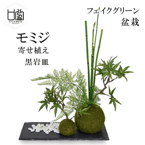 盆栽 モミジ トクサ 苔玉 セット 青