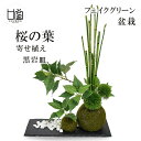 盆栽 桜の葉 トクサ マリモ 苔玉 セットフェイクグリーン 人工 観葉植物 造花 CUPBON 黒岩皿 寄せ植え PRGR-1079 和室 モダン ディスプレイ アレンジメント インテリア お祝い リアル 手作り おしゃれ ギフト 送料無料