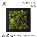 盆栽 苔盆 苔 枝 小枝 コケ こけ フレーム フェイクグリーン 造花 リアル モダン おしゃれ レストラン 北欧 インテリア ディスプレイ 和室 CUPBON...