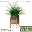 アジアンタム フェイクグリーン 観葉植物 フェイク 人工観葉植物 造花 インテリア リアル おしゃれ アジアンタム ジュートポット 脚付 65cmリビング 葉 PRGR-1470W GREENPARK 寝室 玄関 オフィス シンプル お祝い グリーンパ 送料無料