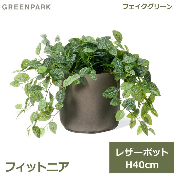 フェイクグリーン 観葉植物 フェイク 人工観葉植物 造花 植物 インテリア リアル おしゃれ フィットニア レザーポット 本革 40cm グレー PRGR-1560GY GREENPARK ポット付き 葉 リビング 寝室 玄関 オフィス シ 送料無料