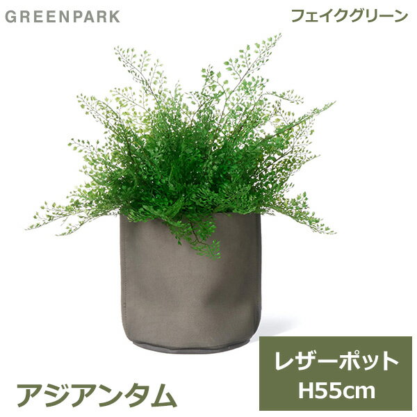 アジアンタム フェイクグリーン 観葉植物 フェイク 人工観葉植物 造花 植物 インテリア リアル おしゃれ アジアンタム レザーポット 本革 55cm グレー PRGR-1500GY GREENPARK ポット付き 葉 リビング 寝室 玄関 オフィス シ 送料無料