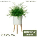 アジアンタム フェイクグリーン 観葉植物 フェイク 人工観葉植物 造花 植物 インテリア リアル おしゃれ アジアンタム エルナ 75cm 鉢付き 鉢セット 飾り PRGR-1522 GREENPARK ポット付き リビング 寝室 玄関 オフィス シンプル お祝 グ