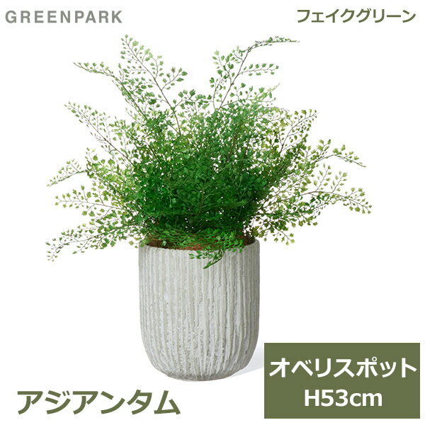 アジアンタム フェイクグリーン 観葉植物 フェイク 人工観葉植物 造花 植物 インテリア リアル おしゃれ アジアンタム オベリスポット 53cm 鉢セット 葉 PRGR-1475 GREENPARK 鉢付き ポット付き リビング 寝室 玄関 オフィス シンプル