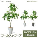 viewgarden ӥ塼ǥ㤨֥ե꡼ տʪ եե   GW ץ󥿡 160cm ͹տʪ ¤ ʪ  ȭå ȭդ  PRGR-1533 GREENPARK ݥåդ ե ꥢ 쥹ȥ ե å ӡפβǤʤ51,854ߤˤʤޤ