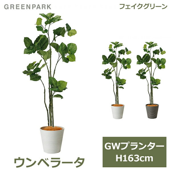 関連商品フェイクグリーン 観葉植物 人口観葉植物 造花 卓上 ツイストウンベラ...フェイクグリーン 観葉植物 人口観葉植物 造花 卓上 オリーブ エッグ...フェイクグリーン 観葉植物 ウンベラータ フィカス GW プランター ...63,800円63,800円63,800円フェイクグリーン 観葉植物 人口観葉植物 造花 卓上 ドウダンツツジ ...フェイクグリーン 観葉植物 人口観葉植物 造花 卓上 大型 ゴールドク...フェイクグリーン 観葉植物 ツイストウンベラータ GW プランター 1...60,500円60,500円58,300円フェイクグリーン 観葉植物 ゴールドクレスト コニファー GW プラン...フェイクグリーン 観葉植物 オリーブ 幸せを呼ぶ木 GW プランター ...フェイクグリーン 観葉植物 アレカヤシ ヤシ GW プランター 155...55,000円58,300円51,854円フェイクグリーン 観葉植物 フィカス アルテシマ GW プランター 1...フェイクグリーン 観葉植物 ドウダンツツジ GW プランター 165c...フェイクグリーン 観葉植物 人口観葉植物 造花 卓上 フィカス アルテ...50,112円55,000円54,468円全体サイズ：約W75×D60×H163cm 器のみ：φ31×H29cm 材質：植物 /ポリエステル・プラスチック、器 /合成樹脂、付属品 /ココファイバー made in Japan 商品名：ウンベラータ GWプランター H163cm 観葉植物 フェイクグリーン eco 型番 ボーダーホワイト：PRGR-1265BW / JANコード：4589635435655 型番 ボーダーグレー：PRGR-1265BG / JANコード：4589635435648ナチュラルな雰囲気が人気の観葉植物、ウンベラータ丸みのあるハート形の大きな葉が特徴の、存在感溢れるフィカス・ウンベラータ。 深い緑色をした葉はナチュラルな雰囲気で、お洒落なカフェやショップなどでもよく見かけます。 風に揺れるように重なりあう葉の柔らかな印象は、ゆったりと時間が流れる寛ぎのスペースにおすすめです。 リラックス効果を期待したオフィスグリーンとしても活躍します。 すっきりオシャレな白いボーダーベースと、格好いいグレーのボーダーベースは、安定感の良い円錐形。 合成樹脂製の割れない素材で、うっかり倒しても安心です。 ご自宅のリビングにシンボルツリーとして、法人様への贈答用としておすすめのグリーンです。 強い生命力と愛を表す花言葉を持つことから、出産祝いや母の日、結婚記念日などのギフトにも選ばれる植物です。 ウンベラータの花言葉「すこやか」「永久の幸せ」「夫婦愛」 ■エコ素材とは こちらの商品は、*ポストコンシューマー・リサイクルというリサイクル素材を採用しています。 使われなくなった物を再加工して、付加価値のある商品に生まれ変わり再びお客様の元へ旅立ちます。 見た目の美しさや質感は通常の素材と変わりません。資源を使いすぎず、環境に配慮した取り組みです。 *ポストコンシューマー・リサイクルとは 消費者が製品として使用した後に回収されたリサイクル素材で、ごみの削減に寄与します。 ■フェイクグリーン フェイクグリーンとは、本物の植物をリアルに再現した人工観葉植物です。 （インテリアグリーン・イミテーショングリーン・アーティフィシャルグリーンとも呼ばれています。） 本物の植物では必要な日々のお手入れが不要で、ほぼ永久的にその状態を保つことができます。 風通しや日当たりも考慮する必要がないので、どんな場所にでも飾っていただけます。 お水の交換や枯れることの心配がないフェイクグリーンは、店舗のディスプレイ・装飾や衛生面の厳しい病院へのお見舞いなどにも利用されています。 ■GREENPARK アーティフィシャルショップPRIMAから生まれた「日本製」の観葉植物ブランドGREENPARK（グリーンパーク） 枯れないからこそ、良いものをずっと長く大切にしてほしい。 その想いで一つひとつ丁寧に、注文をいただいてから製作しています。 リアルさの追求、器とのバランス。細かい部分にまでこだわり、企画から素材の仕入れ・デザイン・製作と一貫して行っています。■注意事項 ・水やり不要ですのでご注意ください。 ・商品はひとつひとつ手作りのため、サイズ、形状、色の濃淡が個々に異なる場合があります。 ・素材の特性上、苔の繊維が落ちることがあります。 ・梱包には細心の注意を払っておりますが、万一不自然な形になっている場合には手直しをお願いいたします。 ・茎や花の茎先にスチールピックが付いていることがあります。怪我をしないようお取り扱いにはご注意ください。 ・品質管理に万全を期しておりますが、まれに配送時の動きにより花や葉が落ちてしまうことがあります。繊細な商品のためどうしても避けられません。 取れてしまった場合は市販のボンド・アロンアルファー・グルーガン等で接着が可能です。 ・直射日光・火気・暖房器具の熱の当たる場所はお避け下さい。色あせ等商品劣化の原因となりますのでおすすめできません。 ・ホコリによる汚れは、柔らかい布やハタキなどで取り除いて下さい。色あせ、型くずれ、サビの原因になりますので、水洗いはおすすめできません。■この商品はラッピング非対応です。※ラッピング非対応商品であっても、ご購入時の「ラッピング・のし」オプションを選択できますが、対応できかねます。また、備考欄に熨斗やグリーティングカードの要望をいただいたとしても対応できかねます。※対応できないラッピングをご希望いただいた場合も、ラッピングはせずに発送いたしますのでご了承ください。